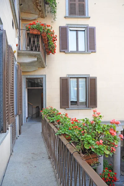 Balkon Mit Blühenden Roten Blumen Und Grünem Laub — Stockfoto