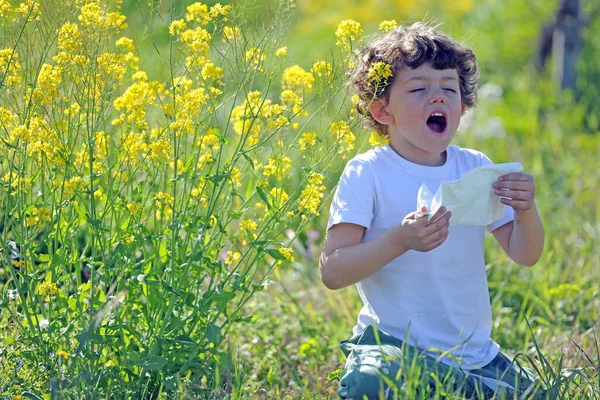 Małe Europejskie Dzieci Rasy Kaukaskiej Mają Alergię Pyłek Kwiatowy Chłopiec — Zdjęcie stockowe