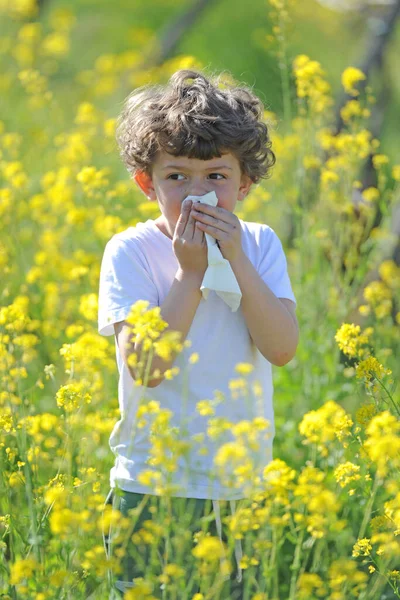 Mediolan Alergia Asma Aumento Tra Bambini — Zdjęcie stockowe