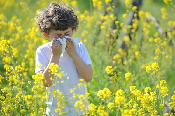 Little European caucasian children has allergies from flower pollen, boy has running nose in flower field and wipe his nose by tissue paper
