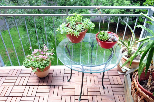 Fleurs Plantes Pots Balcon Avec Table Verre — Photo