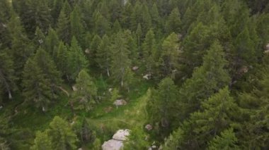 Dronelar yeşil dağların ve sakin nehirlerin üzerinde uçuyorlar, Dolomitler, İtalya.