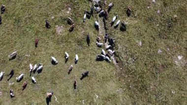 İtalya 'da konforlu evleri olan bölge manzarası.