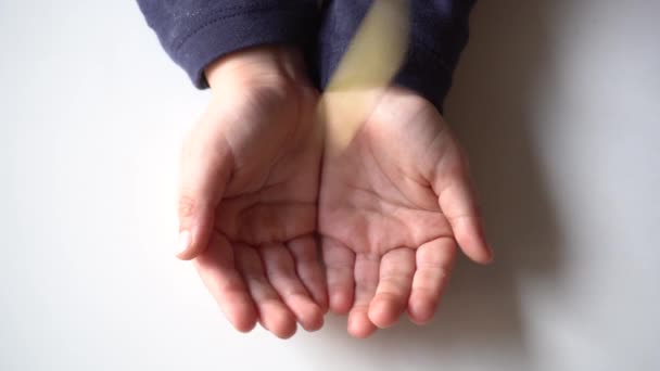 Руки Ребенка Открывают Накопитель Денег Копилку Пересчитывают Деньги Евро Наличные — стоковое видео