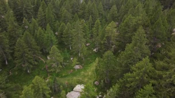 Talya Piedmont Devero Lago Delle Streghe Lepontine Alp Temmuz 2020 — Stok video