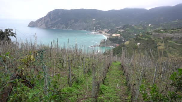 Italia Bahía Portofino Parque Nacional — Vídeos de Stock