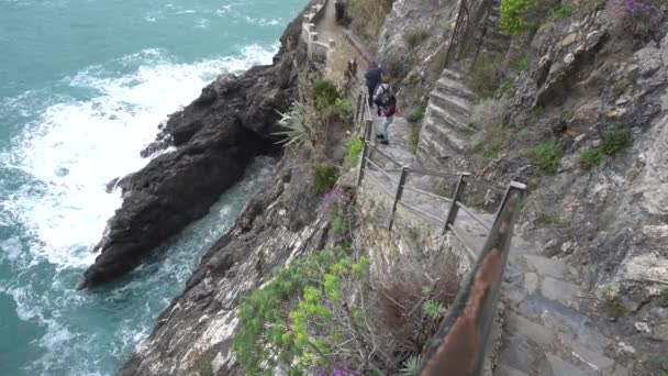 Dell Amore Berühmter Wanderweg Zwischen Den Weinbergen Des Dorfes Vernazza — Stockvideo