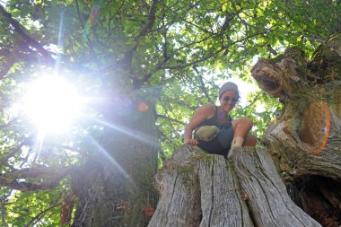 St James yolu, Camino de Santiago, Ağustos 2018 Galiçya, İspanya (Santiago Yolu) hac yolculuğu - ultra yüzüncü bir ağaca binin - doğada özgürlük ve neşe
