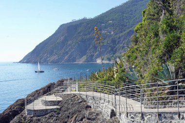 Denize ve dağlara bak.