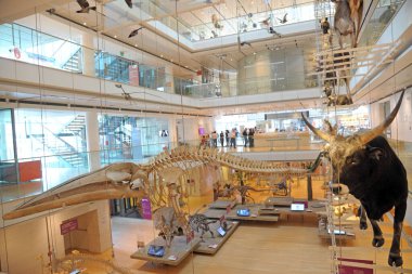 Trento, İtalya - Ocak 2020 Trentino Alto Adige 'deki ünlü Trento Bilimler Müzesi.