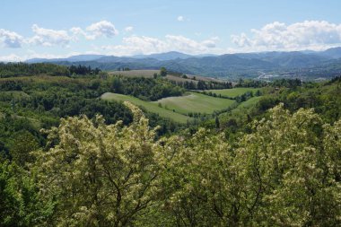 Bereketli yeşil dağ manzarası mavi bulutlu gökyüzü