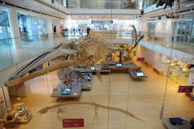 Trento, İtalya - Ocak 2020 Trentino Alto Adige 'deki ünlü Trento Bilimler Müzesi.