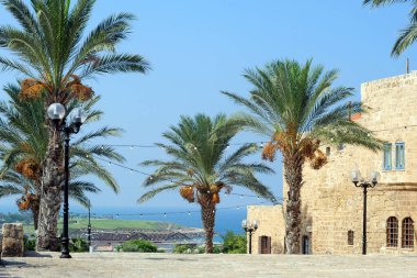 tel aviv şehrinin manzarası, İsrail