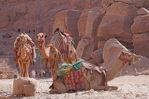 Las Ruinas Petra Monumento Los — Foto de Stock