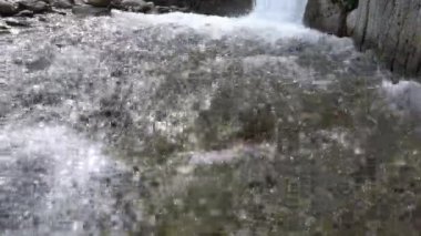 Dağ deresinin yakın görüntüsü