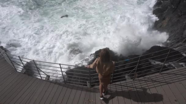 Observing Bridge Storming Sea Italy — Stock Video