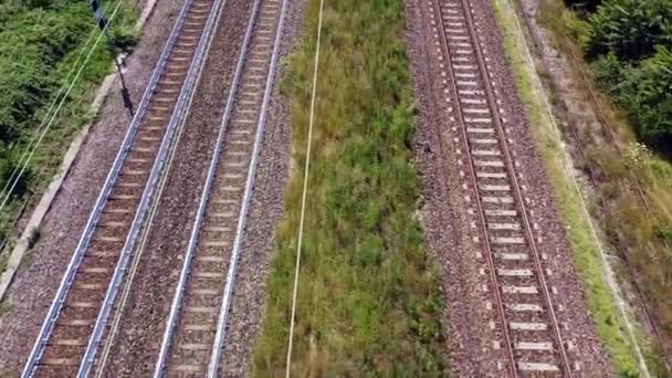 Drone Aerial View Train Railroad Tracks Top View Advancing Railroad — Stock Video