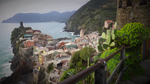 Dell Amore Szerelem Útja Híres Túraútvonal Között Szőlőültetvények Tengerparton Vernazza — Stock videók