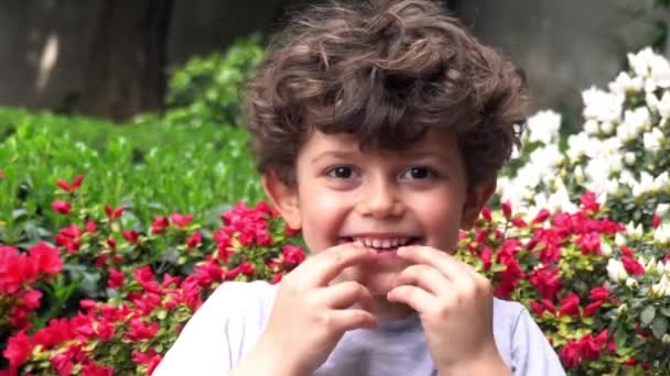 Річний Чоловік Дитина Кавказький Хлопчик Дитячими Зубами Збирається Втратити Перший — стокове відео