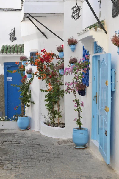 Traditionele Griekse Straat Oia Santorini Griekenland — Stockfoto