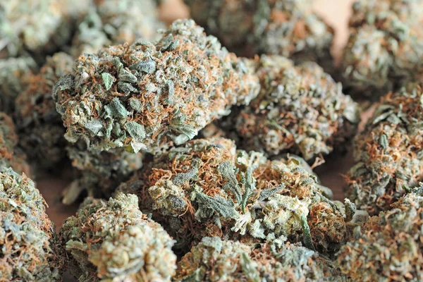 Legális Alacsony Thc Magas Cbd Kell Füst Könnyű Kábítószer Kannabisz — Stock Fotó