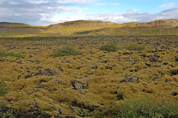 Schöne Aussicht Auf Island Grünes Land — Stockfoto