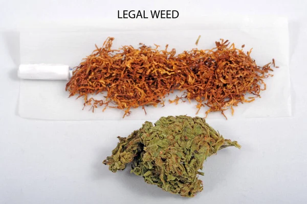 合法雑草 大麻は高いCbdと低いThcで喫煙される マリファナの花 軽い薬と違法物質 煙中毒 治癒ハーブ — ストック写真