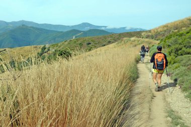Katolik haçı ve hacılar Santiago de Compostela Cammino 'sunda yürürler.