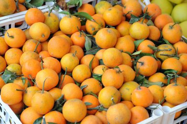 Olgun mandalinaların yakın görüntüsü