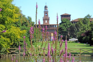 Milan, İtalya - 22 Temmuz 2018: Sforza Castle veya Castello Sforzesco, İtalya 'nın kuzeyindeki Sempione parkında yer alan bir şato.