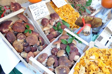 Marketteki kaplarda mantarlar. 