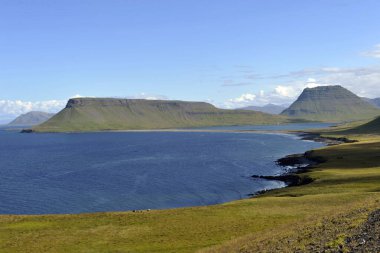 İzlanda 'nın güzel manzarası, yeşil arazi