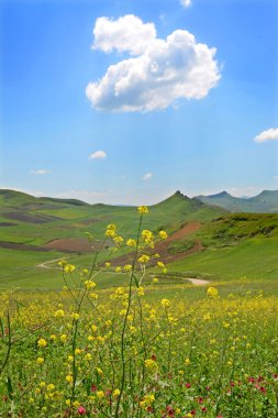 Dağ tepeleri ve mavi gökyüzü ile yaz manzarası