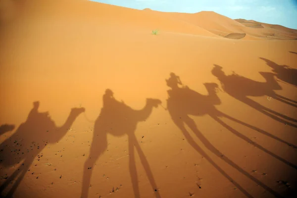 Caravan Going Sand Dunes Sahara Desert Morocco Merzuga Tourist Visit — Stock Photo, Image