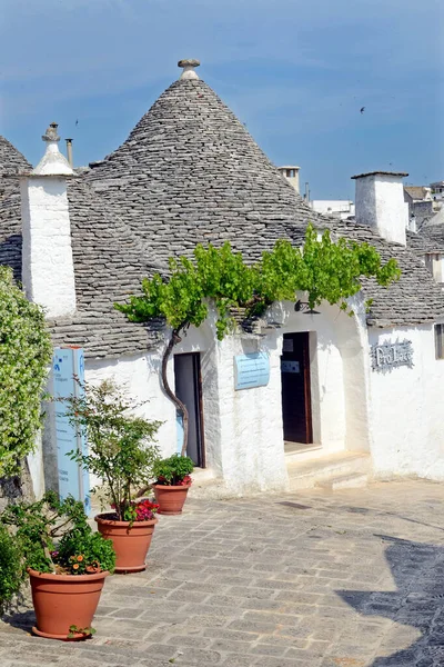 Alberobello Italië Puglia Unieke Trulli Huizen Met Conische Daken Erfgoed — Stockfoto