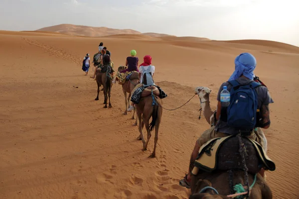 Husvagn Som Går Genom Sanddynerna Saharaöknen Marocko Merzuga Turist Besöker — Stockfoto