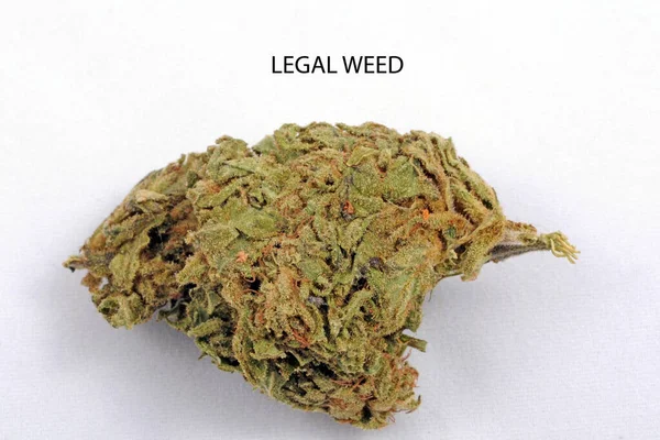 Erba Legale Cannabis Fumare Con Alta Cbd Bassa Thc Fiore — Foto Stock