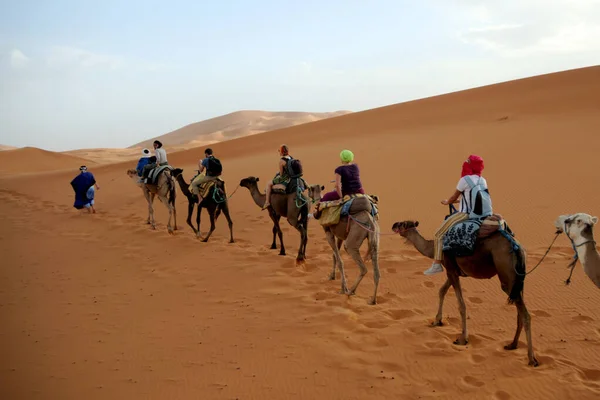 Husvagn Som Går Genom Sanddynerna Saharaöknen Marocko Merzuga Turist Besöker — Stockfoto