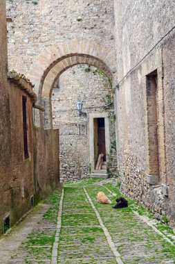 Siena, İtalya 'da eski bir ortaçağ caddesi.