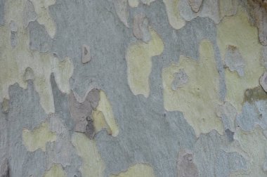 Arkaplan olarak soyut duvar dokusu 