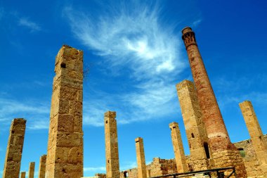 İzmir 'deki antik ephesus şehrinin kalıntıları, hindi