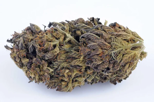合法雑草 大麻は高いCbdと低いThcで喫煙される マリファナの花 軽い薬と違法物質 煙中毒 治癒ハーブ — ストック写真