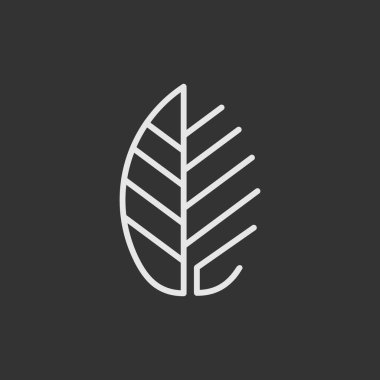 Yaprak vektörü. Soyut yaprak tasarımı.