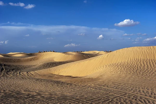 Puesta Sol Sahara Dependiendo Posición Luz Las Dunas Arena Cambian — Foto de Stock