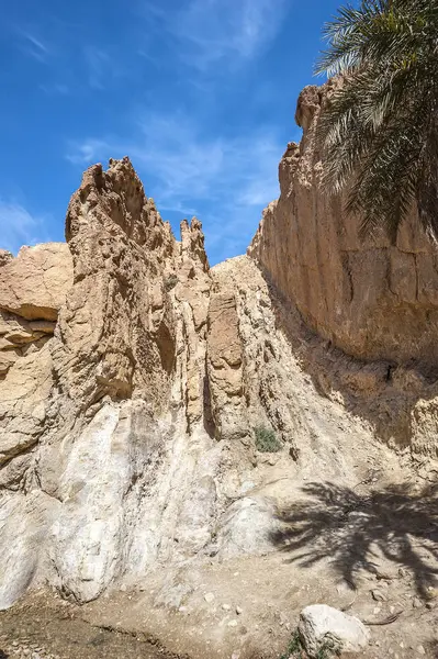 Túnez Cerca Del Pueblo Towser Oasis Shebik Está Rodeado Llanuras — Foto de Stock