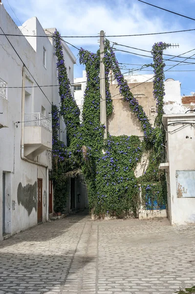 Túnez Sousse Las Calles Ciudad Vieja Medina Pavimentadas Con Piedra — Foto de Stock
