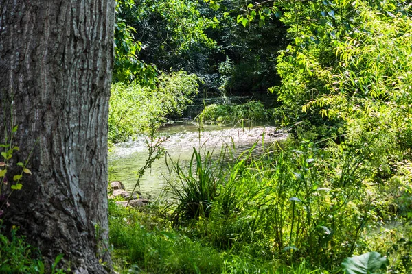 Arroyo Con Escalón Poco Profundo Que Cae Cascada Sobre Piedras — Foto de Stock