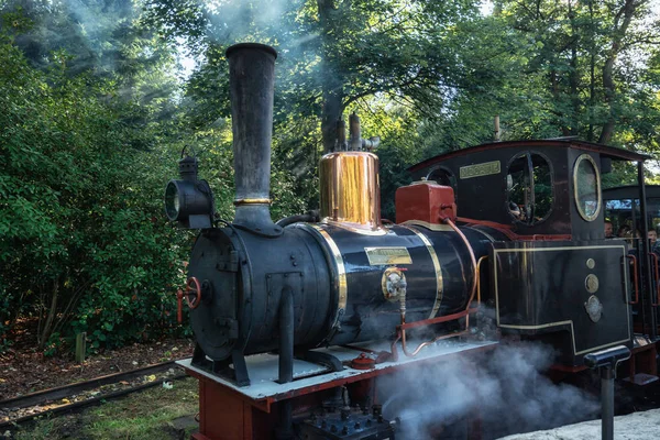 Kaatsheuvel, Hollanda, 19 Ağustos 2017: Buharlı Tren üzerinden Hollanda'da Efteling eğlence parkı