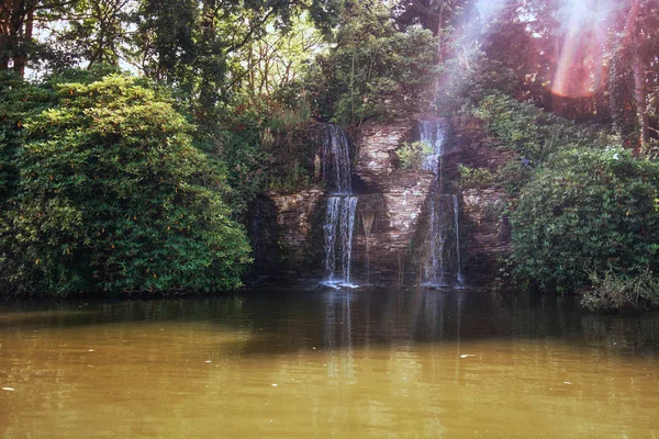 Bela Cachoeira Parque Holanda — Fotografia de Stock