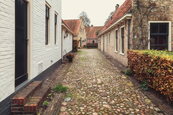 Маленькие Домики Бортанге Голландской Укрепленной Деревне Провинции Гронинген Севере Нидерландов — стоковое фото